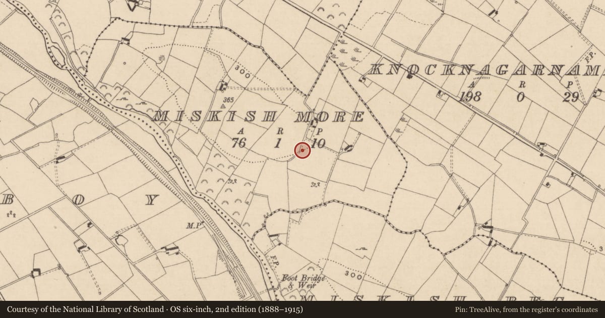Ordnance Survey six-inch map, 2nd edition (1888–1915) covering the location of Cupmarked stone, Miskish More, County Monaghan, with a pin at the register's coordinates