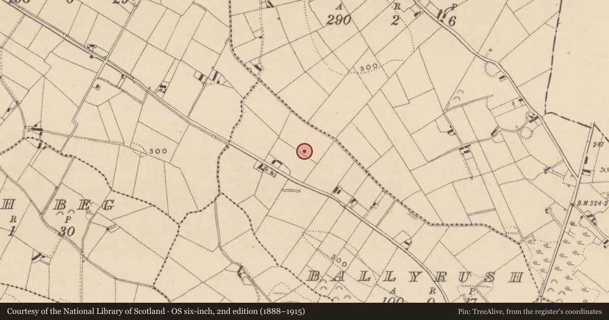 Ordnance Survey six-inch map, 2nd edition (1888–1915) covering the location of Ringfort - rath, Ballyrush, County Monaghan, with a pin at the register's coordinates