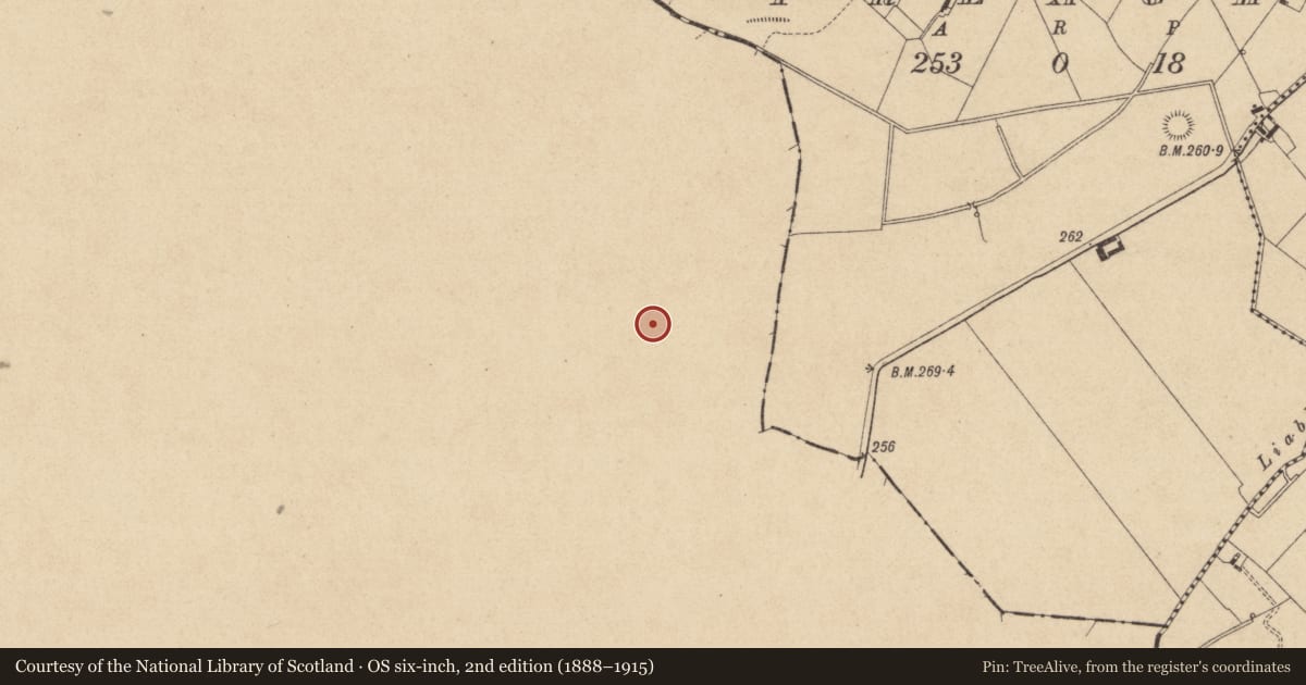 Ordnance Survey six-inch map, 2nd edition (1888–1915) covering the location of Ringfort - rath, Carrickykelly, County Monaghan, with a pin at the register's coordinates