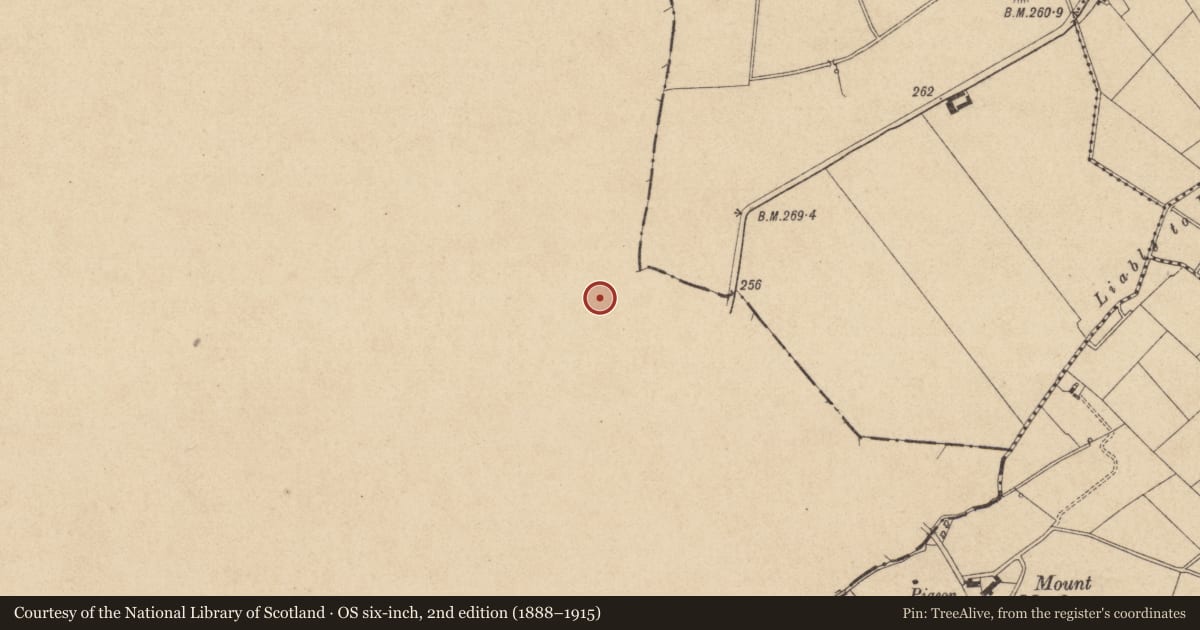 Ordnance Survey six-inch map, 2nd edition (1888–1915) covering the location of Ringfort - rath, Carrickykelly, County Monaghan, with a pin at the register's coordinates