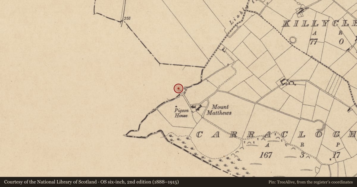 Ordnance Survey six-inch map, 2nd edition (1888–1915) covering the location of Souterrain, Carrickykelly, County Monaghan, with a pin at the register's coordinates