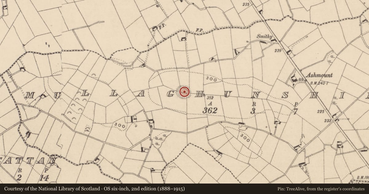 Ordnance Survey six-inch map, 2nd edition (1888–1915) covering the location of Ringfort - rath, Mullaghunshinagh, County Monaghan, with a pin at the register's coordinates