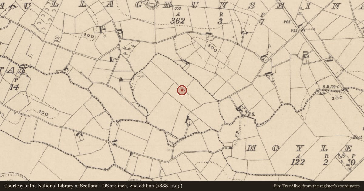 Ordnance Survey six-inch map, 2nd edition (1888–1915) covering the location of Ringfort - rath, Moyles, County Monaghan, with a pin at the register's coordinates