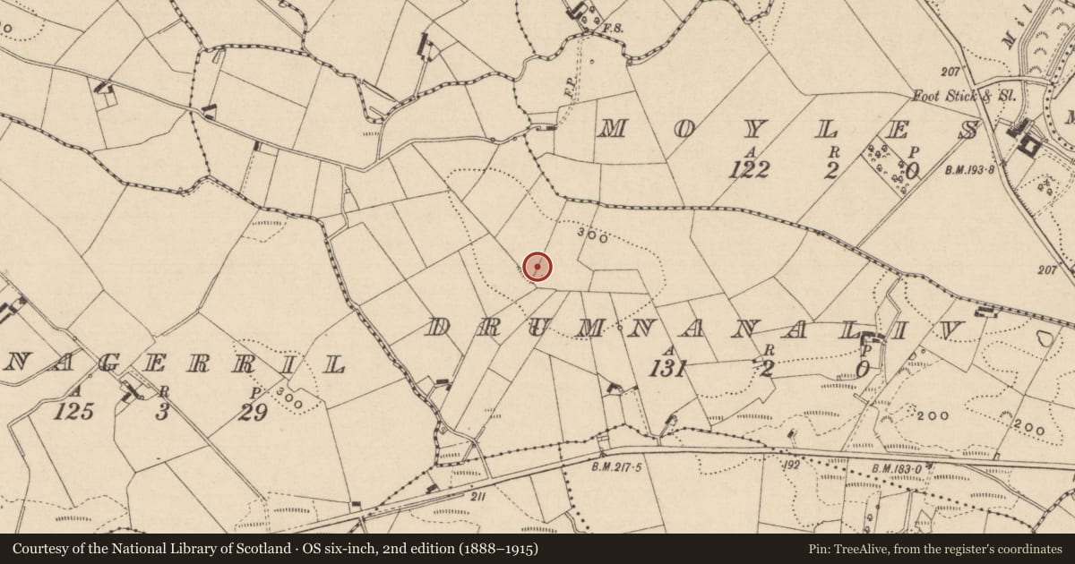 Ordnance Survey six-inch map, 2nd edition (1888–1915) covering the location of Ringfort - rath, Drumnanaliv, County Monaghan, with a pin at the register's coordinates