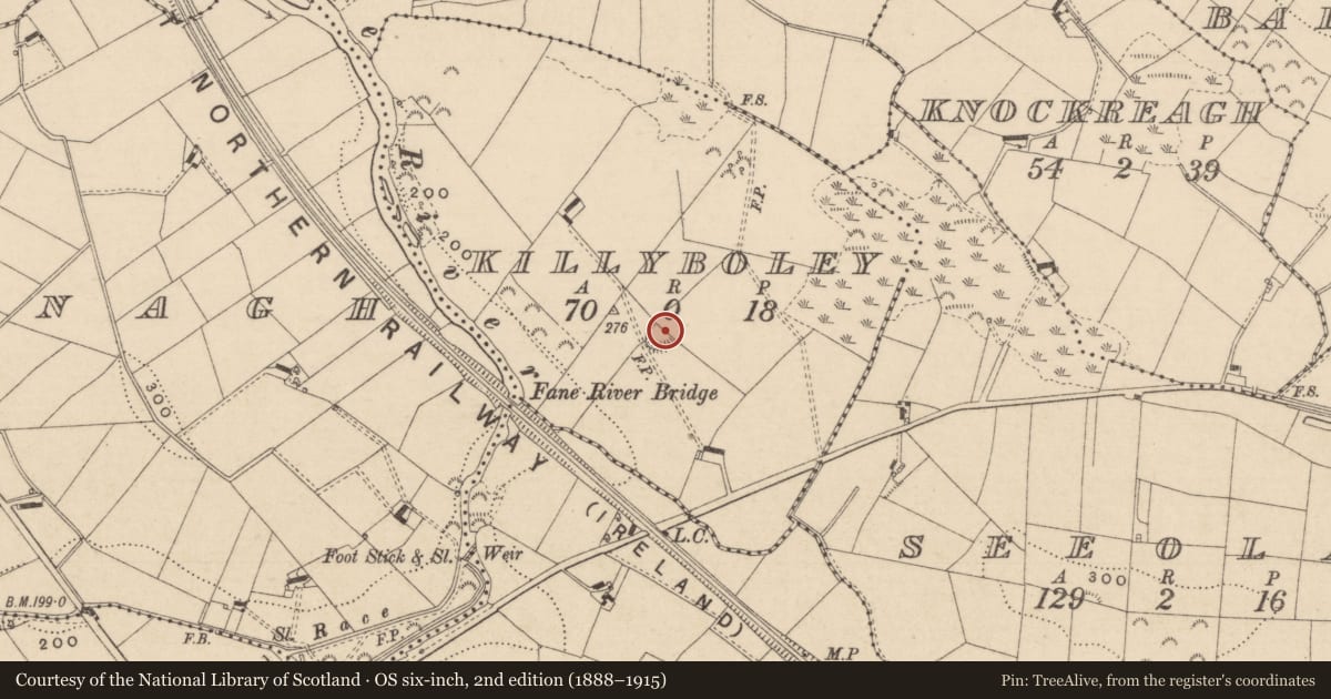 Ordnance Survey six-inch map, 2nd edition (1888–1915) covering the location of Ringfort - rath, Killyboley, County Monaghan, with a pin at the register's coordinates