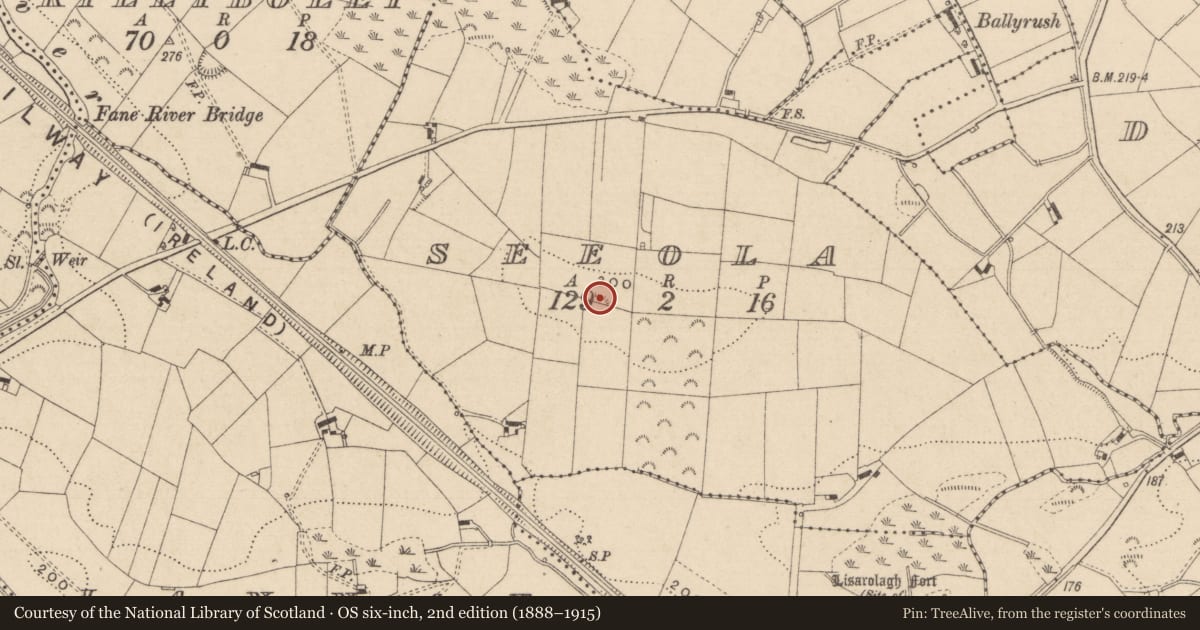 Ordnance Survey six-inch map, 2nd edition (1888–1915) covering the location of Ringfort - rath, Seeola, County Monaghan, with a pin at the register's coordinates