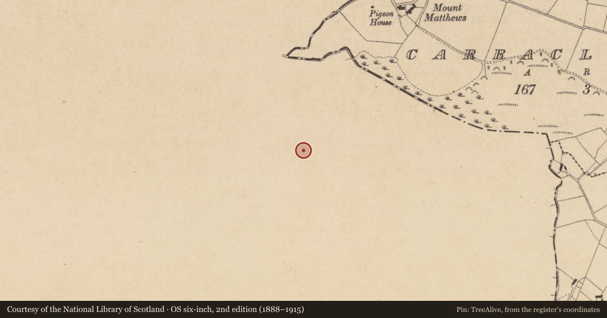 Ordnance Survey six-inch map, 2nd edition (1888–1915) covering the location of Ringfort - rath, Drummond, County Monaghan, with a pin at the register's coordinates