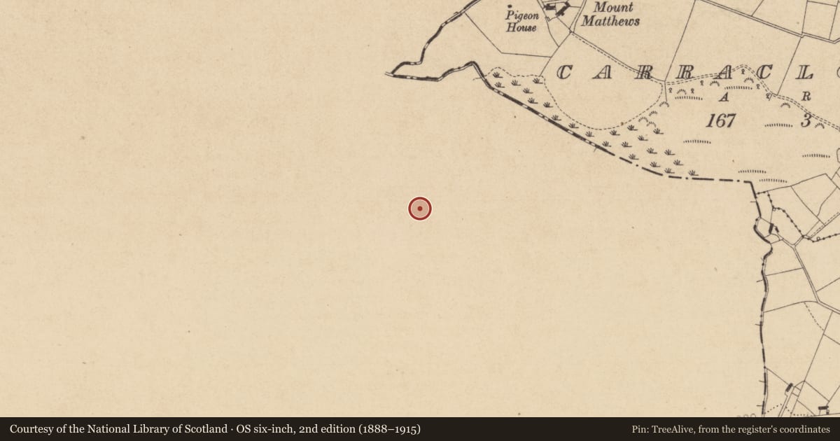 Ordnance Survey six-inch map, 2nd edition (1888–1915) covering the location of House - indeterminate date, Drummond, County Monaghan, with a pin at the register's coordinates