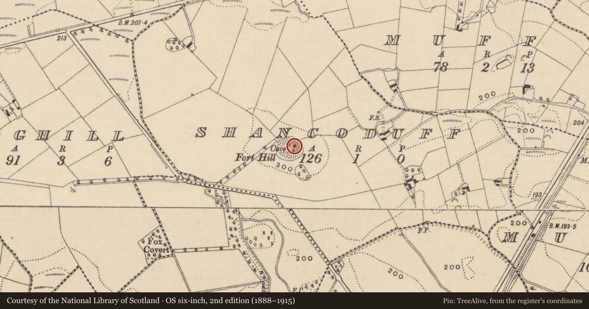 Ordnance Survey six-inch map, 2nd edition (1888–1915) covering the location of Ringfort - rath, Shancoduff, County Monaghan, with a pin at the register's coordinates