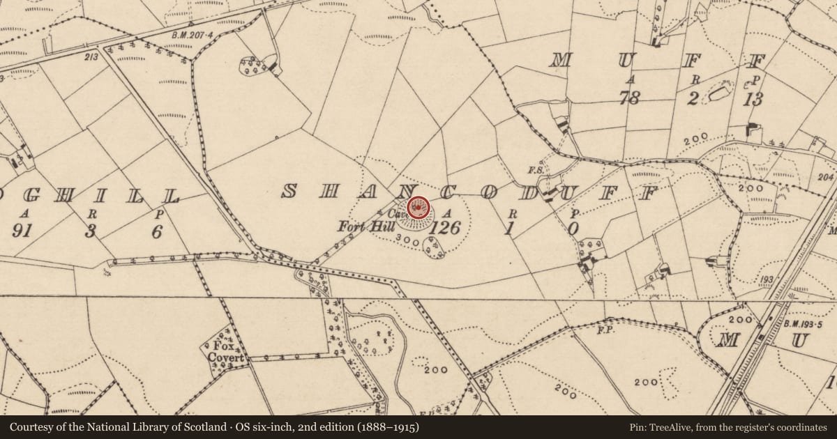Ordnance Survey six-inch map, 2nd edition (1888–1915) covering the location of Souterrain, Shancoduff, County Monaghan, with a pin at the register's coordinates