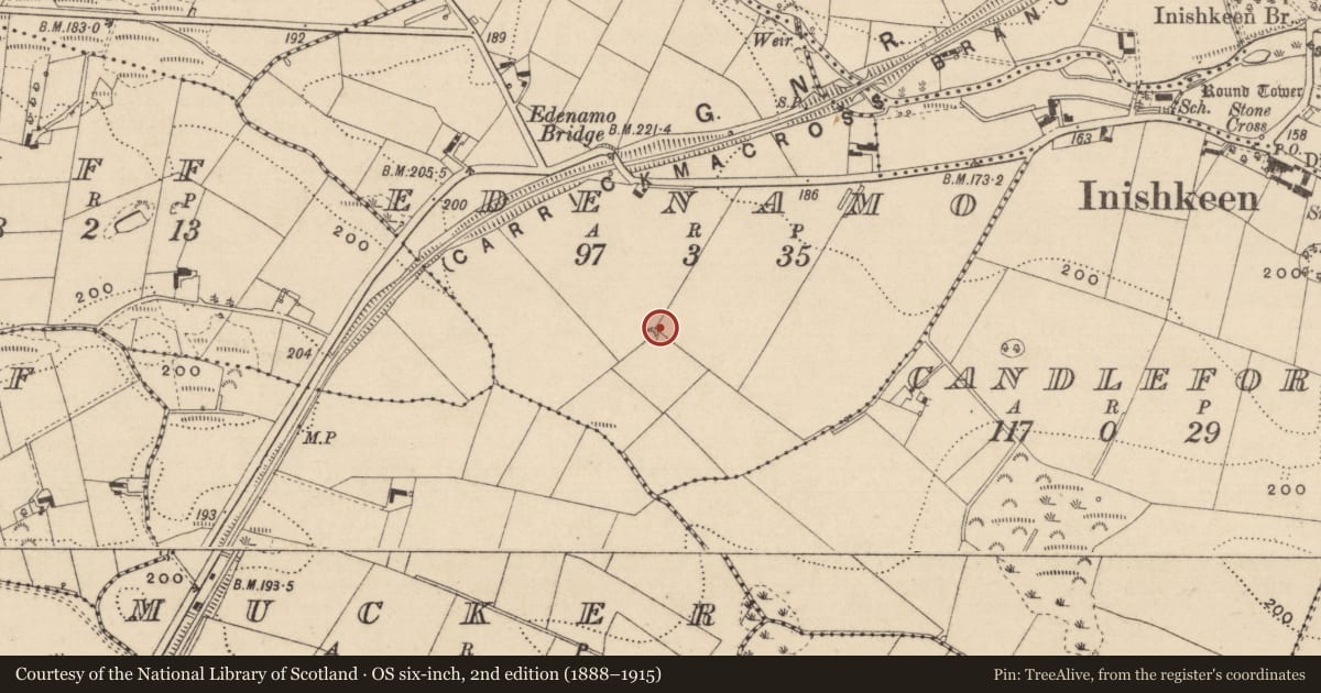 Ordnance Survey six-inch map, 2nd edition (1888–1915) covering the location of Enclosure, Edenamo, County Monaghan, with a pin at the register's coordinates