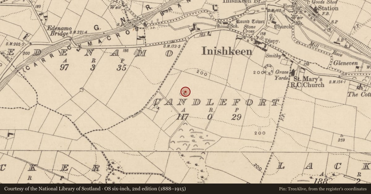 Ordnance Survey six-inch map, 2nd edition (1888–1915) covering the location of Enclosure, Candlefort, County Monaghan, with a pin at the register's coordinates