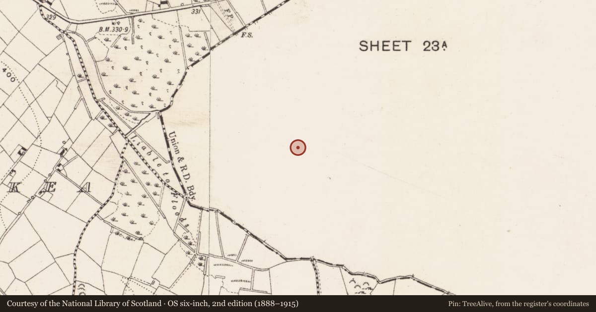 Ordnance Survey six-inch map, 2nd edition (1888–1915) covering the location of Ringfort - unclassified, Corcreeghagh, County Monaghan, with a pin at the register's coordinates