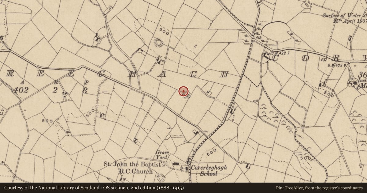Ordnance Survey six-inch map, 2nd edition (1888–1915) covering the location of Ringfort - rath, Corcreeghagh, County Monaghan, with a pin at the register's coordinates