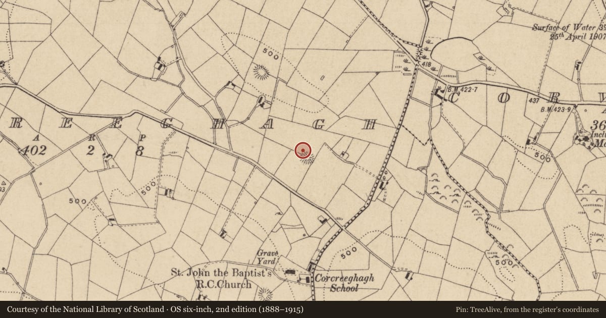 Ordnance Survey six-inch map, 2nd edition (1888–1915) covering the location of House - indeterminate date, Corcreeghagh, County Monaghan, with a pin at the register's coordinates