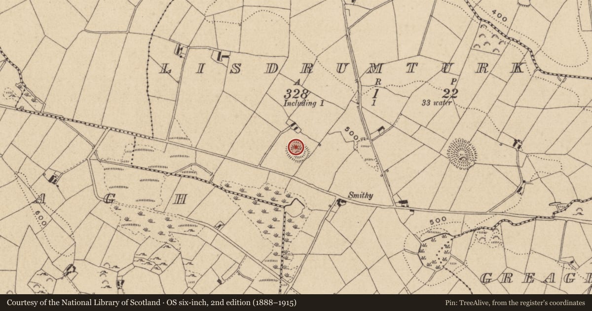 Ordnance Survey six-inch map, 2nd edition (1888–1915) covering the location of Earthwork, Lisdrumturk, County Monaghan, with a pin at the register's coordinates