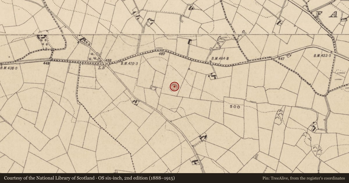 Ordnance Survey six-inch map, 2nd edition (1888–1915) covering the location of Ringfort - rath, Drumgurra, County Monaghan, with a pin at the register's coordinates