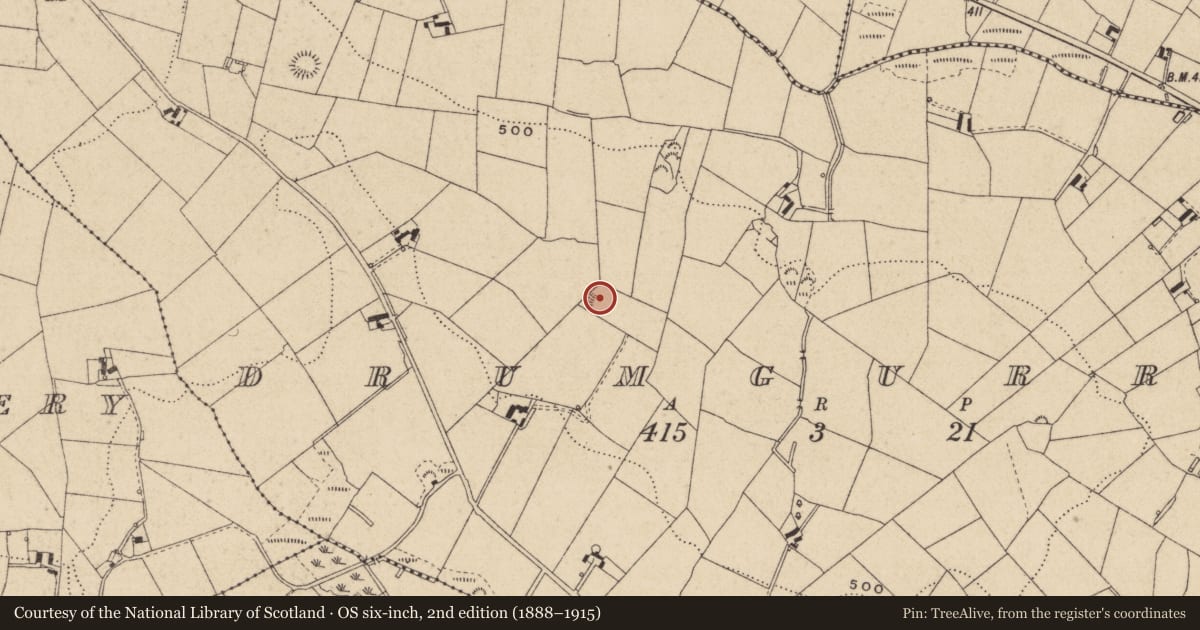 Ordnance Survey six-inch map, 2nd edition (1888–1915) covering the location of Ringfort - rath, Drumgurra, County Monaghan, with a pin at the register's coordinates