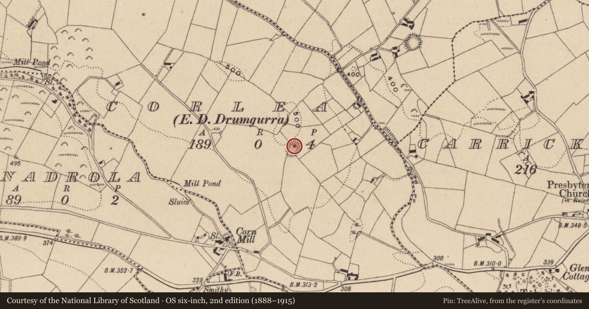 Ordnance Survey six-inch map, 2nd edition (1888–1915) covering the location of Ringfort - rath, Corlea (Farney By., Magheross Par.), County Monaghan, with a pin at the register's coordinates