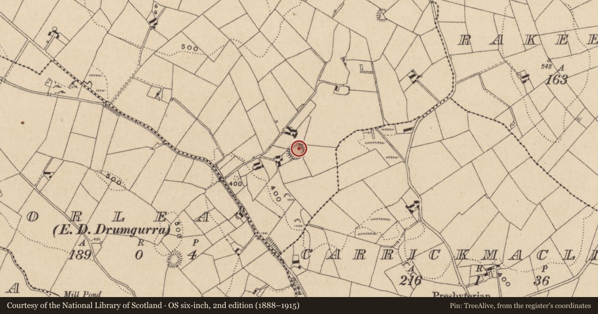 Ordnance Survey six-inch map, 2nd edition (1888–1915) covering the location of Ringfort - rath, Drumgurra, County Monaghan, with a pin at the register's coordinates