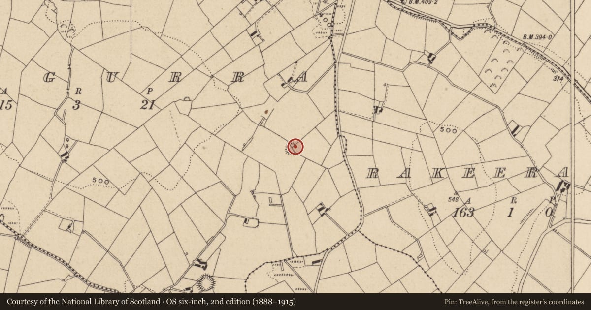 Ordnance Survey six-inch map, 2nd edition (1888–1915) covering the location of Ringfort - rath, Drumgurra, County Monaghan, with a pin at the register's coordinates
