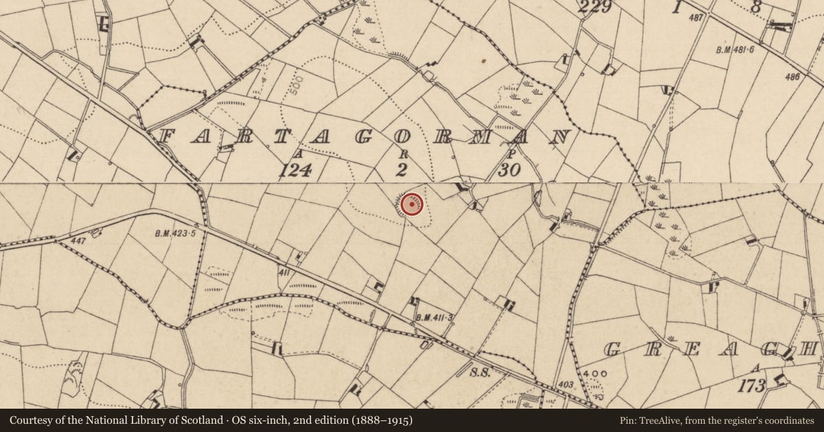 Ordnance Survey six-inch map, 2nd edition (1888–1915) covering the location of Ringfort - rath, Fartagorman, County Monaghan, with a pin at the register's coordinates