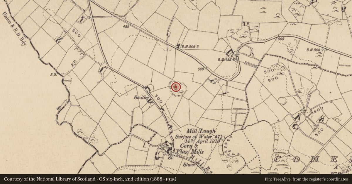 Ordnance Survey six-inch map, 2nd edition (1888–1915) covering the location of Hilltop enclosure, Raferagh, County Monaghan, with a pin at the register's coordinates