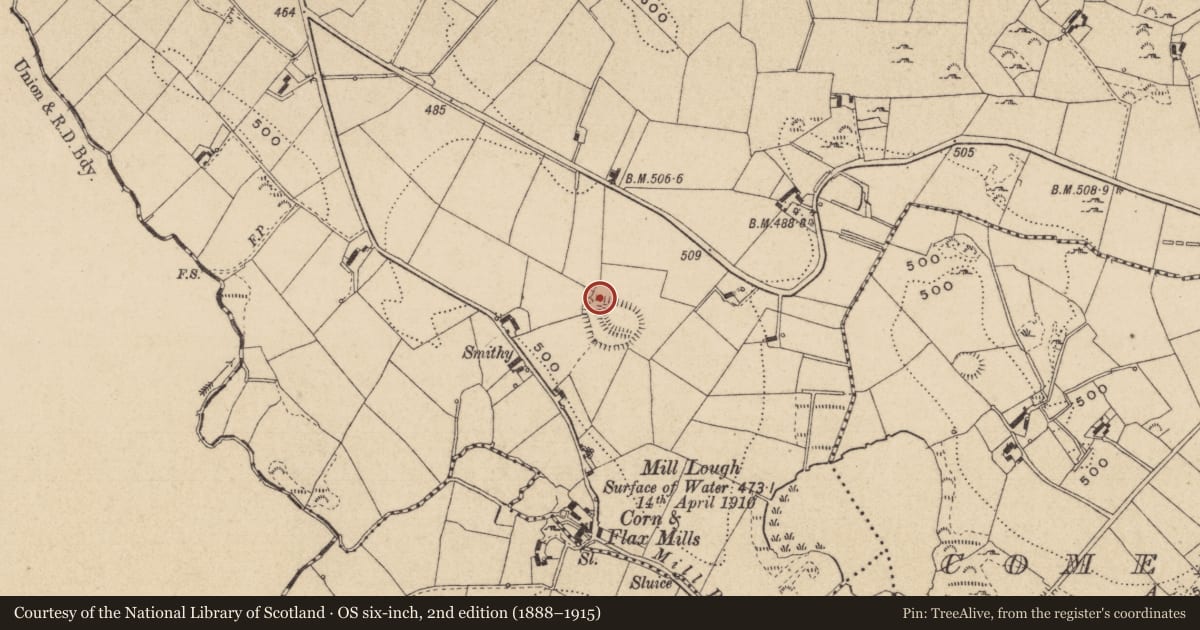 Ordnance Survey six-inch map, 2nd edition (1888–1915) covering the location of Hut site, Raferagh, County Monaghan, with a pin at the register's coordinates