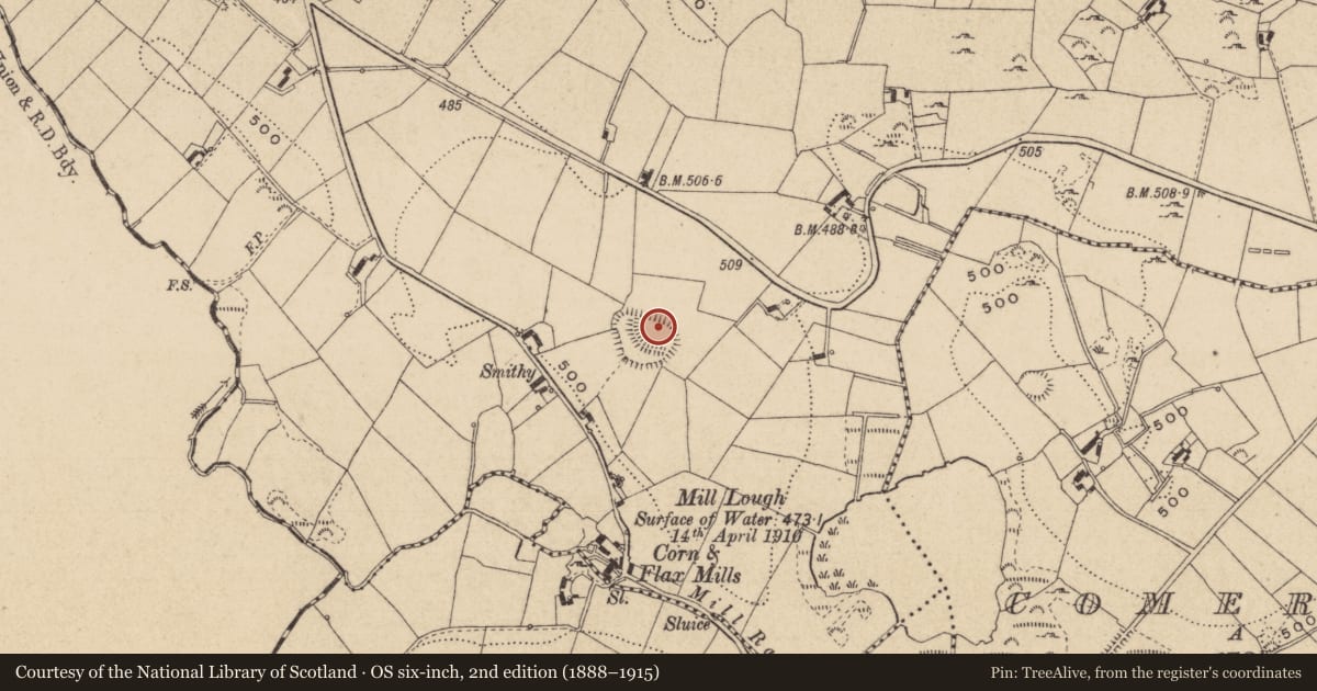 Ordnance Survey six-inch map, 2nd edition (1888–1915) covering the location of Hut site, Raferagh, County Monaghan, with a pin at the register's coordinates