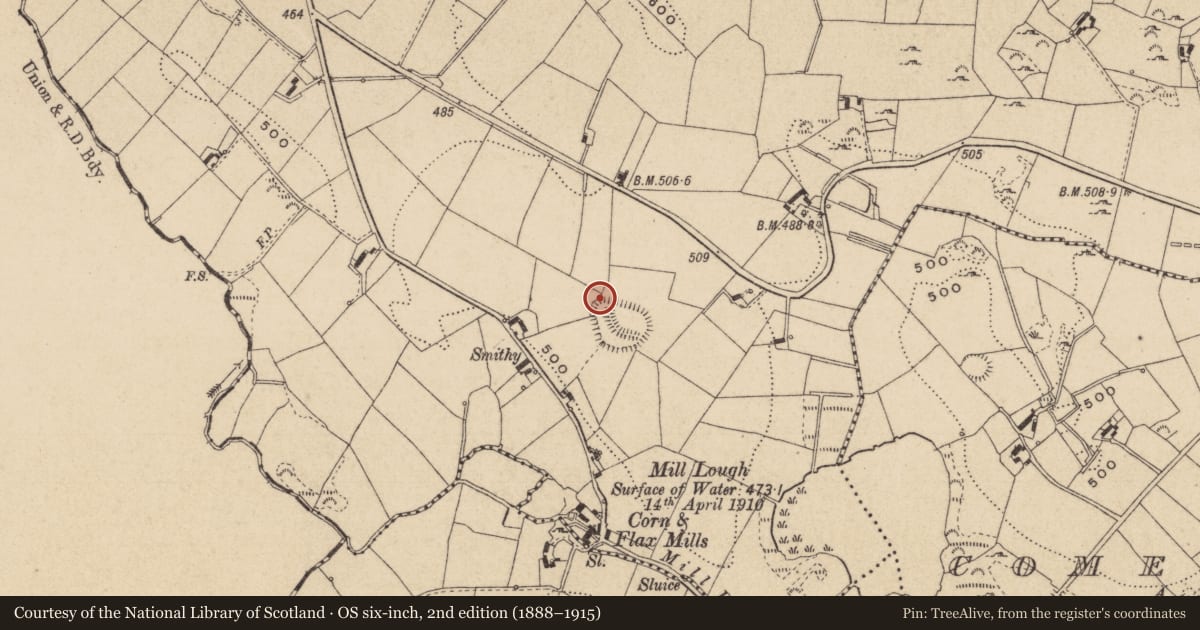 Ordnance Survey six-inch map, 2nd edition (1888–1915) covering the location of Hut site, Raferagh, County Monaghan, with a pin at the register's coordinates
