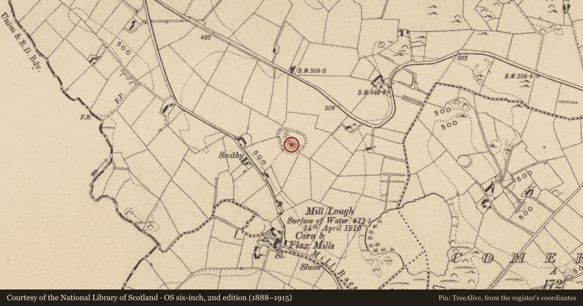 Ordnance Survey six-inch map, 2nd edition (1888–1915) covering the location of Hut site, Raferagh, County Monaghan, with a pin at the register's coordinates