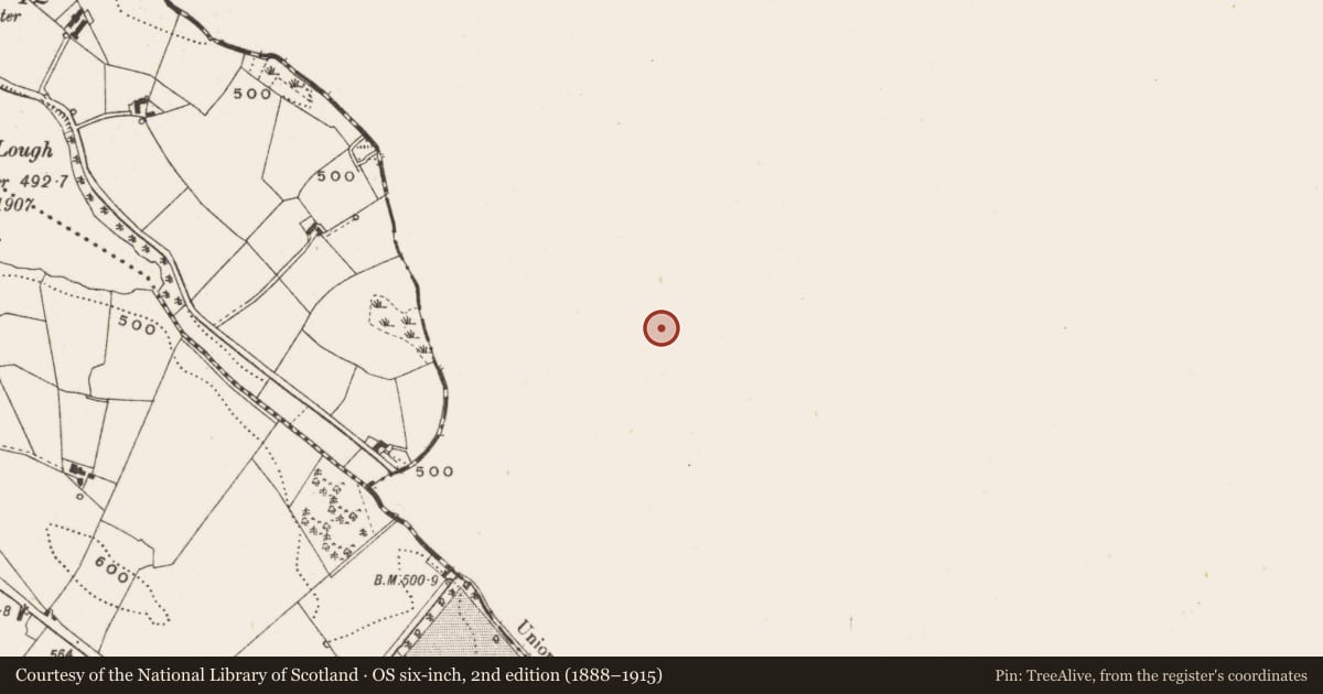 Ordnance Survey six-inch map, 2nd edition (1888–1915) covering the location of Ringfort - rath, Beagh (Farney By., Magheracloone Par.), County Monaghan, with a pin at the register's coordinates