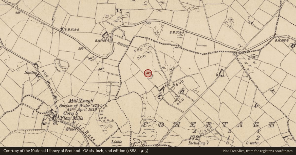 Ordnance Survey six-inch map, 2nd edition (1888–1915) covering the location of Ringfort - rath, Comertagh, County Monaghan, with a pin at the register's coordinates