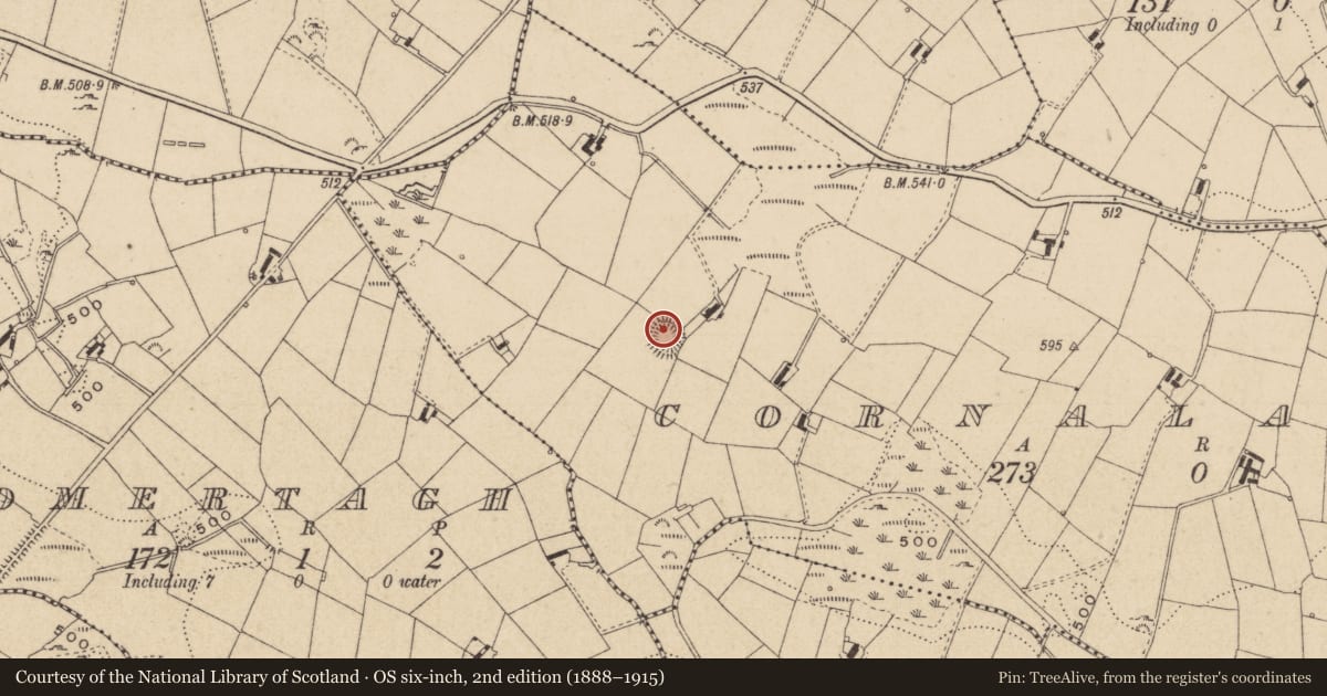 Ordnance Survey six-inch map, 2nd edition (1888–1915) covering the location of Ringfort - rath, Cornalaragh, County Monaghan, with a pin at the register's coordinates