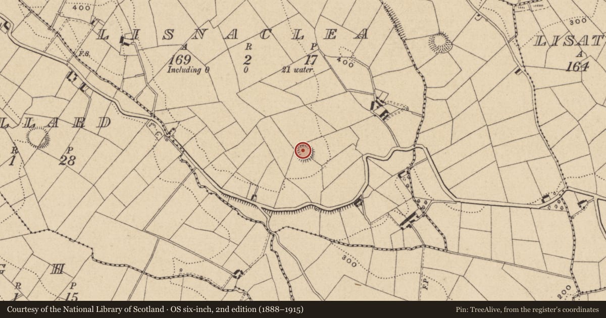 Ordnance Survey six-inch map, 2nd edition (1888–1915) covering the location of Ringfort - rath, Lisnaclea, County Monaghan, with a pin at the register's coordinates