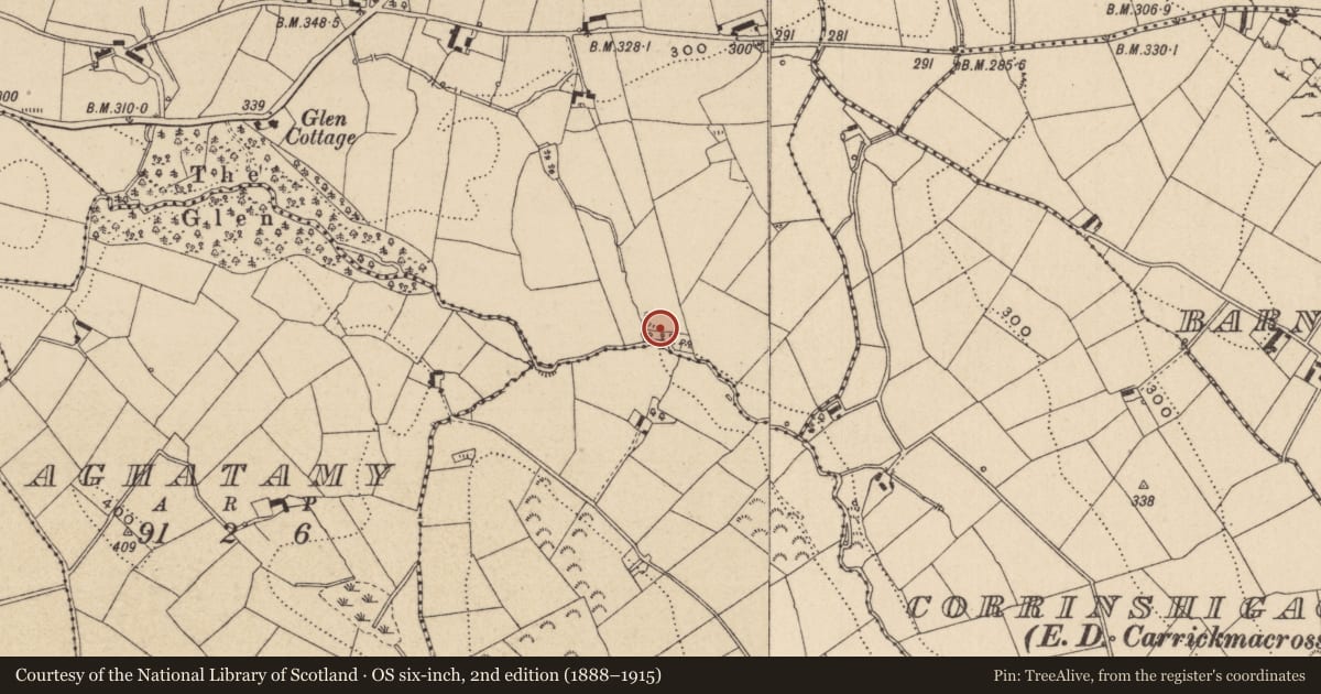 Ordnance Survey six-inch map, 2nd edition (1888–1915) covering the location of Ringfort - rath, Carrickmaclim, County Monaghan, with a pin at the register's coordinates