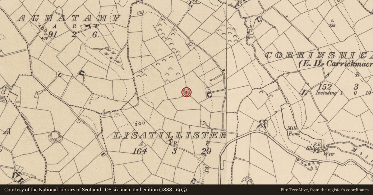 Ordnance Survey six-inch map, 2nd edition (1888–1915) covering the location of Ringfort - rath, Lisatillister, County Monaghan, with a pin at the register's coordinates