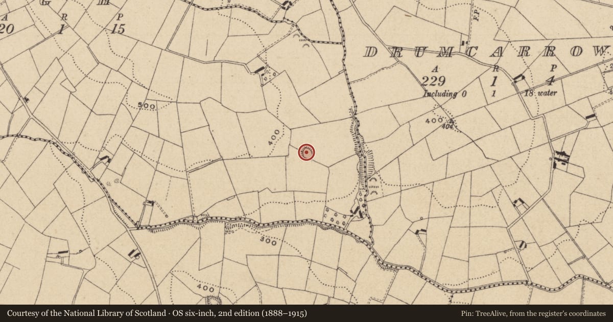 Ordnance Survey six-inch map, 2nd edition (1888–1915) covering the location of Ringfort - rath, Doagh, County Monaghan, with a pin at the register's coordinates