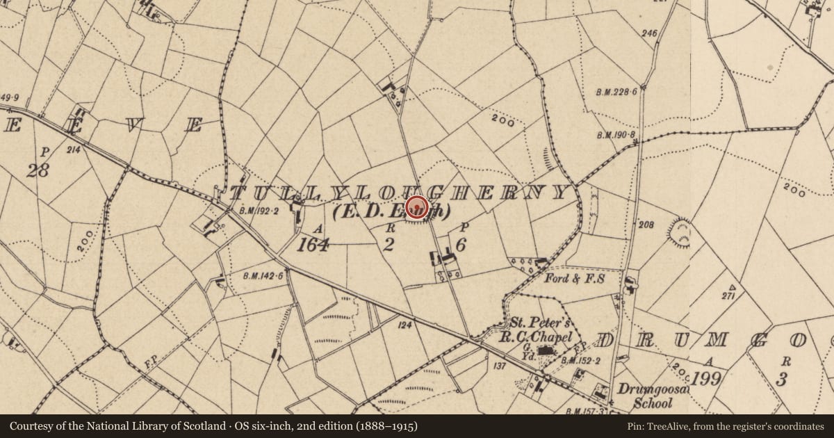 Ordnance Survey six-inch map, 2nd edition (1888–1915) covering the location of Ringfort - rath, Tullylougherny (Farney By, Magheracloone Par.), County Monaghan, with a pin at the register's coordinates