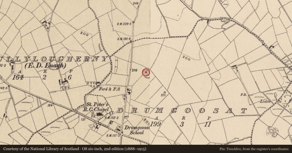 Ordnance Survey six-inch map, 2nd edition (1888–1915) covering the location of Ringfort - rath, Drumgoosat, County Monaghan, with a pin at the register's coordinates