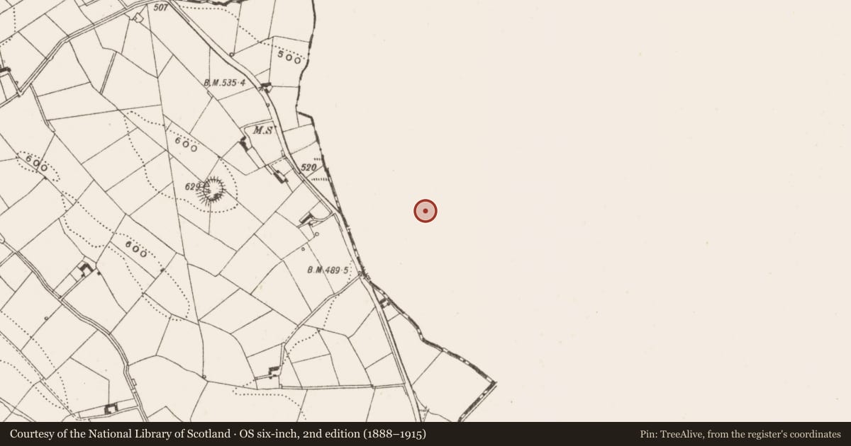 Ordnance Survey six-inch map, 2nd edition (1888–1915) covering the location of Ringfort - rath, Sealkill, County Monaghan, with a pin at the register's coordinates