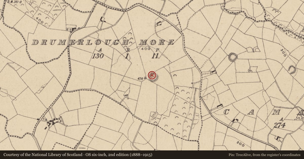 Ordnance Survey six-inch map, 2nd edition (1888–1915) covering the location of Ringfort - rath, Drumerlough More, County Monaghan, with a pin at the register's coordinates