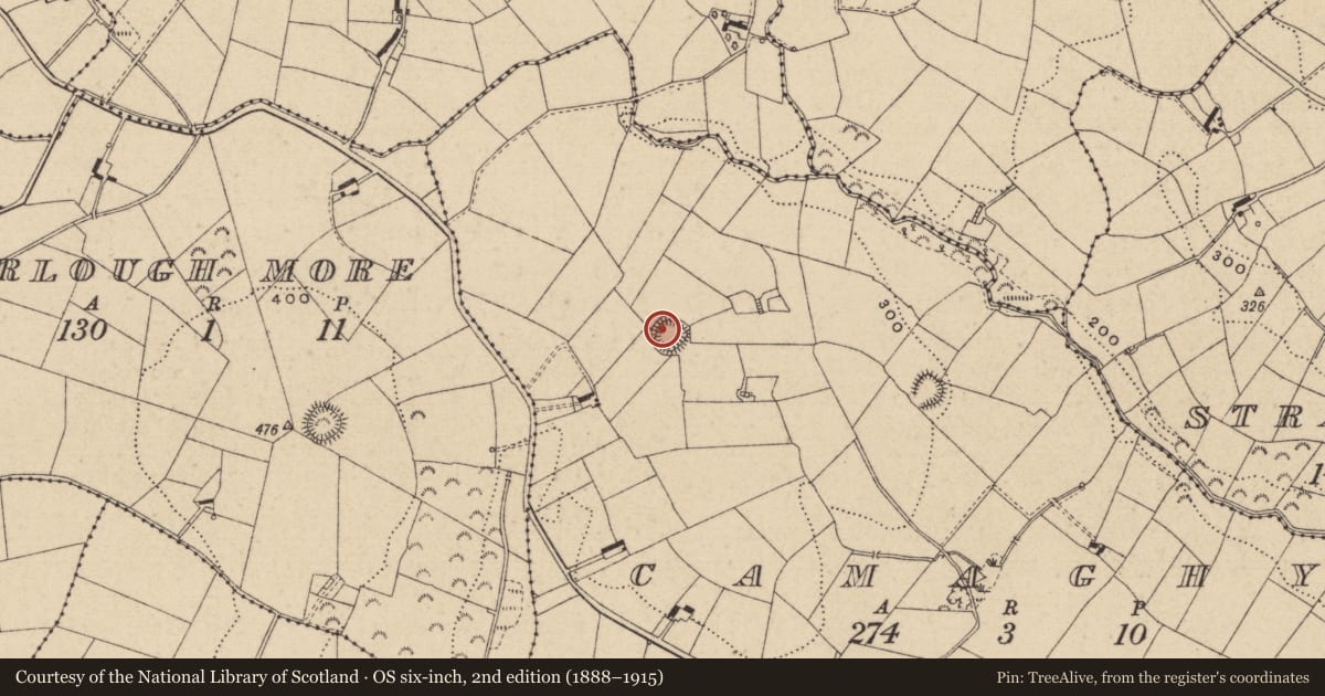 Ordnance Survey six-inch map, 2nd edition (1888–1915) covering the location of Ringfort - rath, Camaghy, County Monaghan, with a pin at the register's coordinates