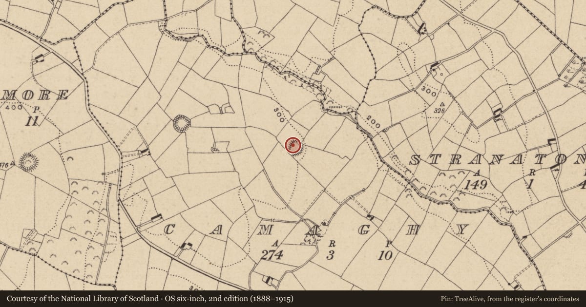 Ordnance Survey six-inch map, 2nd edition (1888–1915) covering the location of Ringfort - rath, Camaghy, County Monaghan, with a pin at the register's coordinates
