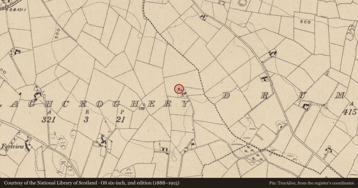 Ordnance Survey six-inch map, 2nd edition (1888–1915) covering the location of Ringfort - rath, Mullaghcroghery, County Monaghan, with a pin at the register's coordinates