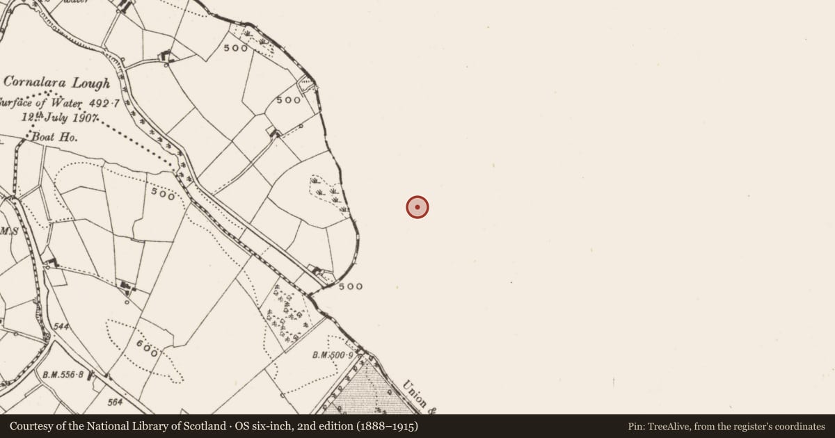 Ordnance Survey six-inch map, 2nd edition (1888–1915) covering the location of Barrow - ring-barrow, Beagh (Farney By., Magheracloone Par.), County Monaghan, with a pin at the register's coordinates