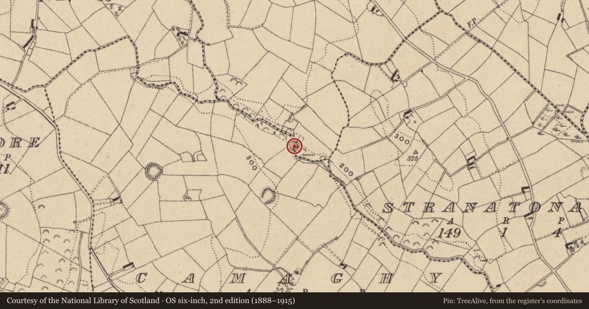 Ordnance Survey six-inch map, 2nd edition (1888–1915) covering the location of Mass-rock, Camaghy, Tonaneeve, County Monaghan, with a pin at the register's coordinates