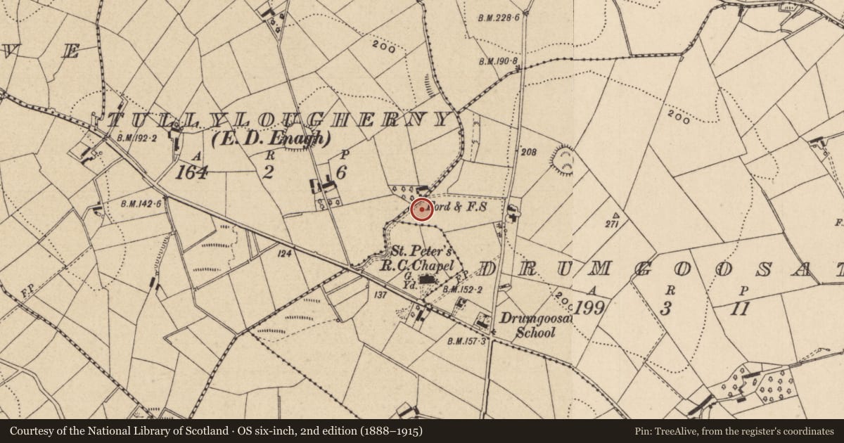 Ordnance Survey six-inch map, 2nd edition (1888–1915) covering the location of Mass-rock, Drumgoosat, County Monaghan, with a pin at the register's coordinates