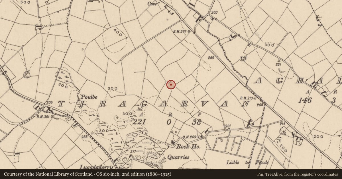 Ordnance Survey six-inch map, 2nd edition (1888–1915) covering the location of Ringfort - rath, Tiragarvan, County Monaghan, with a pin at the register's coordinates