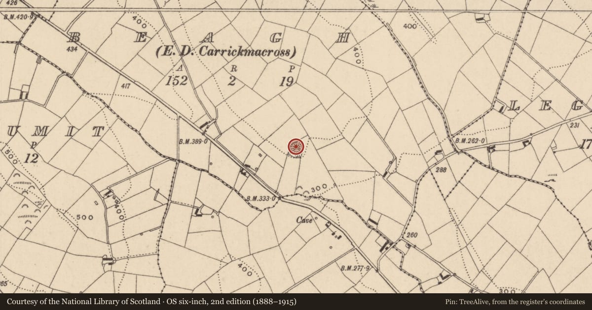 Ordnance Survey six-inch map, 2nd edition (1888–1915) covering the location of Ringfort - rath, Beagh (Farney By., Magheross Par.), County Monaghan, with a pin at the register's coordinates